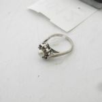599 1012 RING